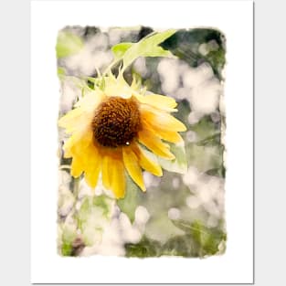 Watercolor Sunflower Posters and Art